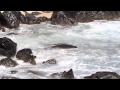 Hawaiian Monk Seals - Ka'ena and Nakele ...