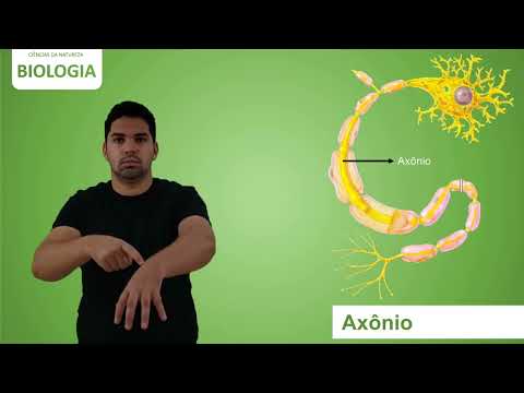 Sinal Axônio - Sinalário de Ciências da Natureza – Biologia