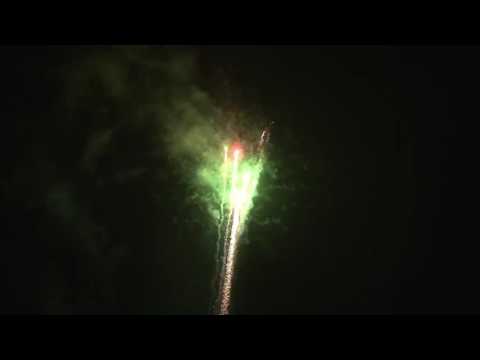 MASTERFORCE 88 ran (20mm)