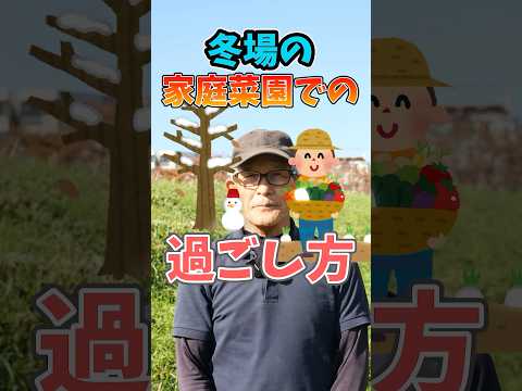 この夏の果物や野菜の発育を促進するために、菜園で木の灰をどのように使用しますか?  庭園