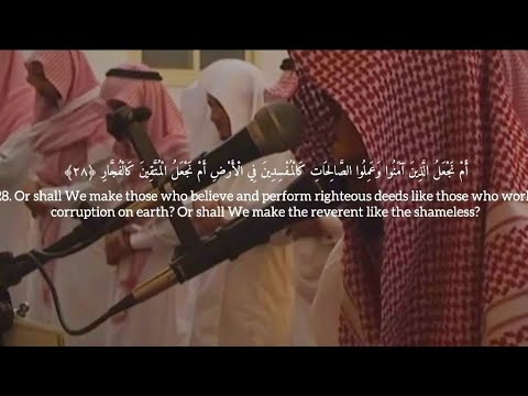 Surah Saad 28-61 Muhammad Al-Naqidan| سورة ص ٢٨- ٦١ محمدالنقيدان  (with English translation)
