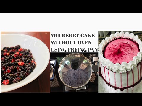 download lagu mp3 mp4 White Mulberry Bakery, download lagu White Mulberry Bakery gratis, unduh video klip White Mulberry Bakery