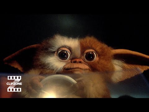 Gizmo To The Rescue!