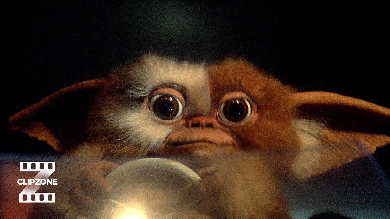Gizmo To The Rescue!