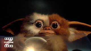 Gizmo To The Rescue!