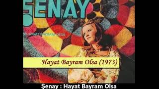 hayat bayram olsa melodika notalari ve