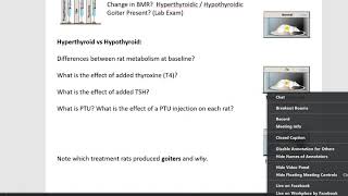 physEx Endocrine