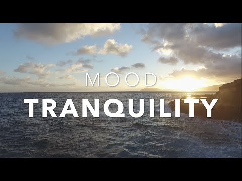 Relaxing Music for Sleep, Meditation #6 (No Copyright) | Mood Videos