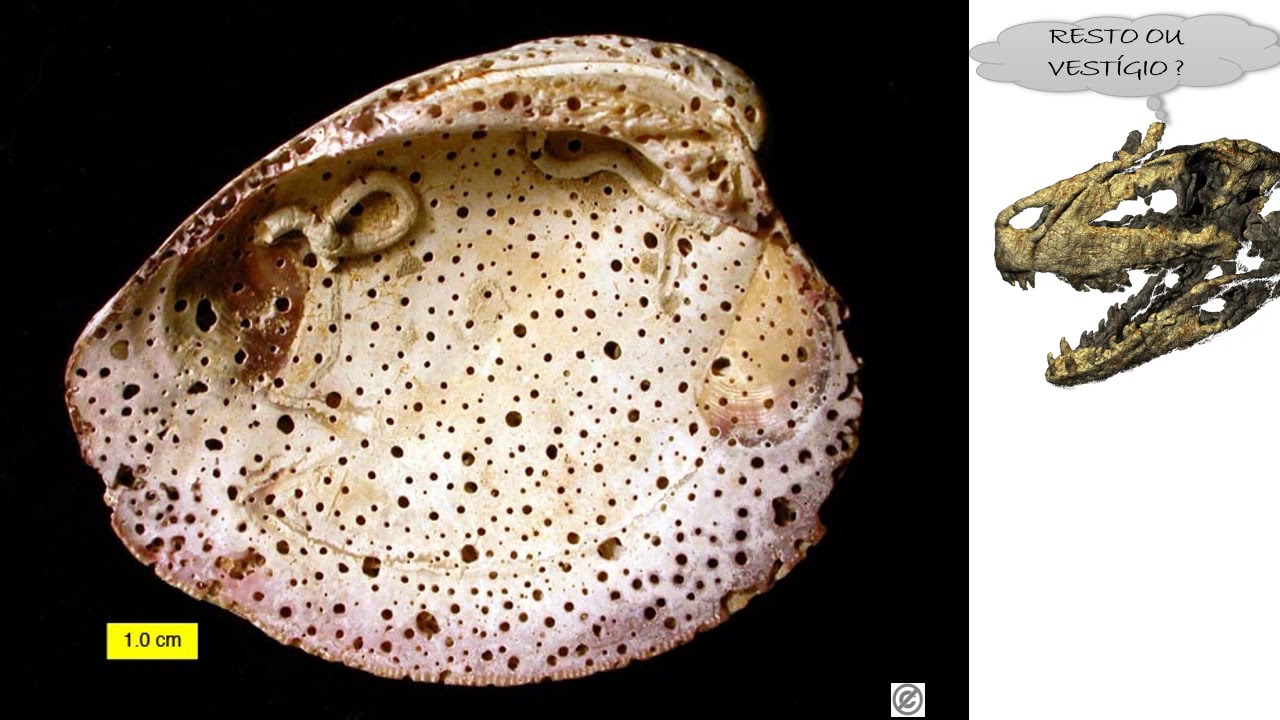 Aula 2 - Princípios e conceitos gerais