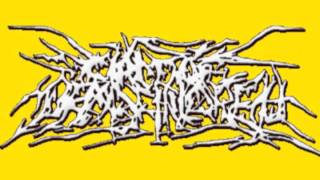 Circle of Dead Children - Sleepwalker (Lord Drucifer REMIX)