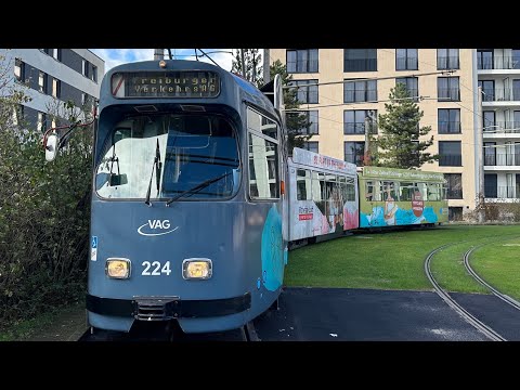 Mit der 🚋Straßenbahnlinie 3 Durch ❤️Freiburg ab Vauban➡️Haid-Munzinger Straße ￼