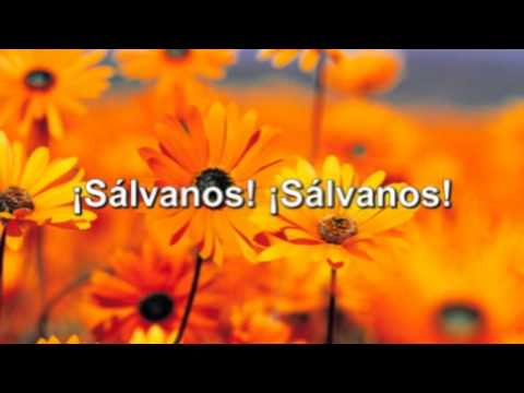 Sananos video