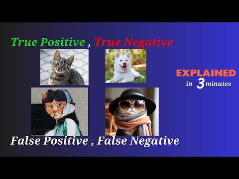 True positive True negative False positive False negative explained