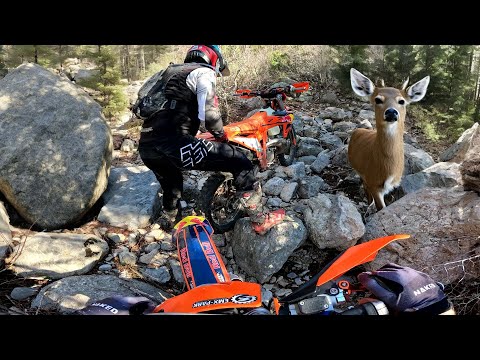 NEW KTM EXC 300 TBI 2025 CHAMPION EDITION GOT STUCK IN BIG ROCKS !
