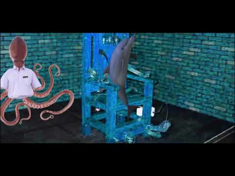 Der gemeine Delfin Folge 3