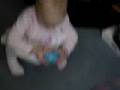 Abigail S First Easter Egg Hunt 2008
