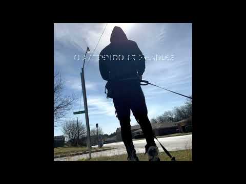 Optimal K9 Dog Obedience & Protection Training video.