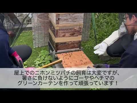 商学科 日本工業大学駒場中学高等学校 園芸養蜂部　ショートムービー2025