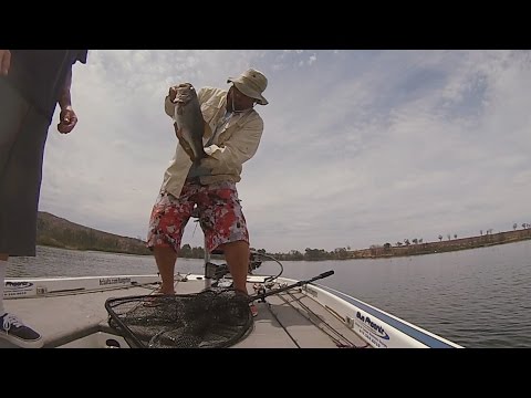 GoPro: Jeff Carpenter - Best Catch 6.29.15 - Fish