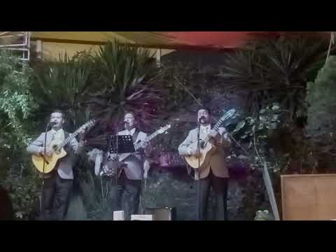 Trio Los Semejantes Amor que malo eres