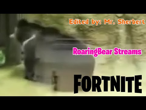 Living in obscurity | RoaringBear Streams Fortnite