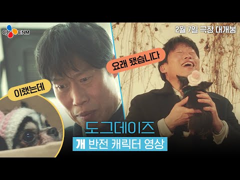 우리 가족을 소'개' 합니다! [도그데이즈] 개반전 캐릭터 영상