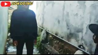 Download lagu UNTUK STORY WA eps BARU SOE TAWA SOKODING mp3