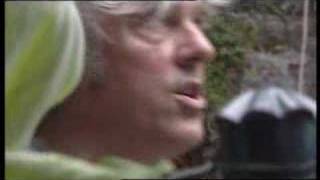 Robyn Hitchcock-It is obvious