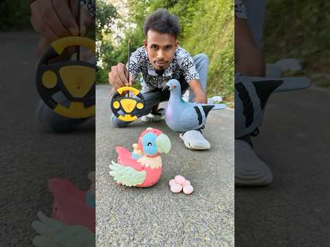 Mera new egg wala kabutar vs Remote wala Parrot deko 🦜 😊