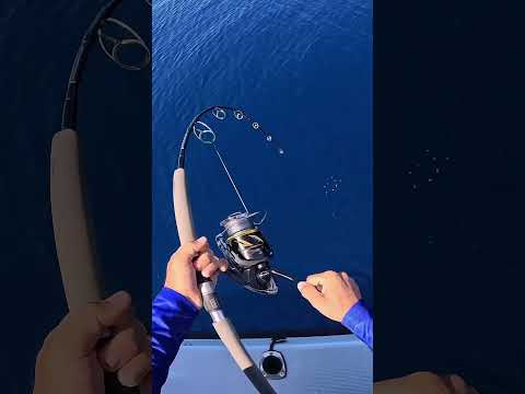 Scary 🥶 would you ever want to experience this?