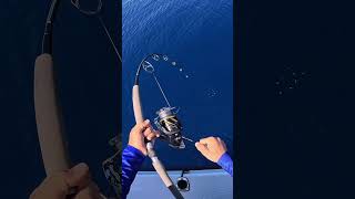 Scary 🥶 would you ever want to experience this?