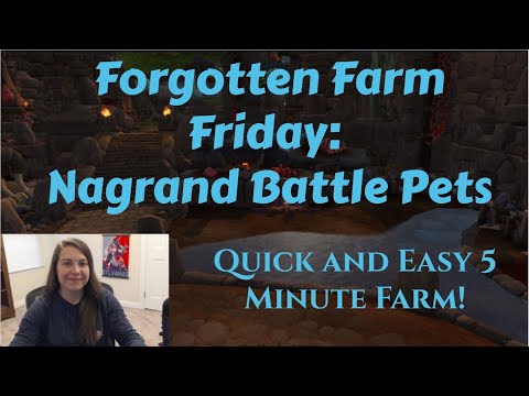 2 Minute Farm: Make 10k to 20k Gold with Nagrand Battle Pets - Forgotten Farm Friday