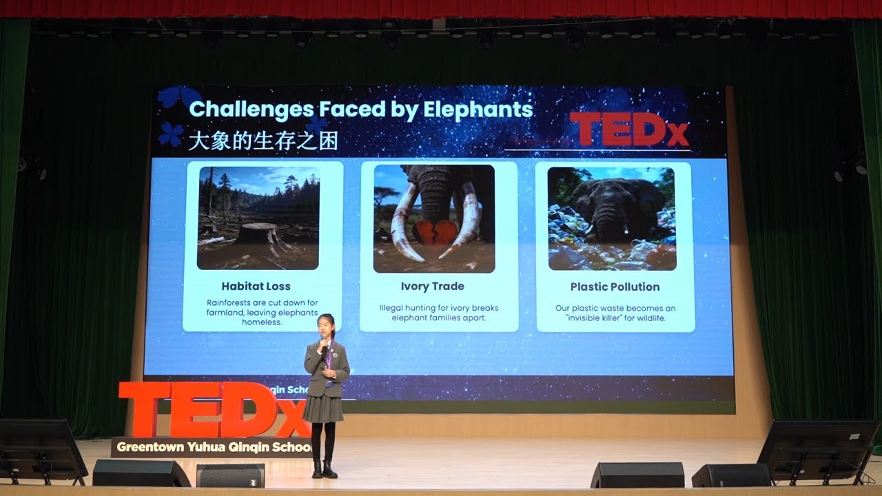 Living Gently with Nature  | Wenwan Zhu | TEDxGreentown Yuhua Qinqin School
