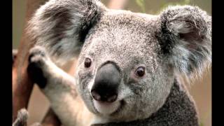 Bruce Jackson - All for love