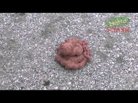 Insta-Poop: The Instant Turd in a Can! Presented by HahaPrank.com