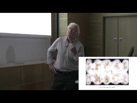 Slade Contemporary Art Lecture Series 2016-17 - Ian McKeever