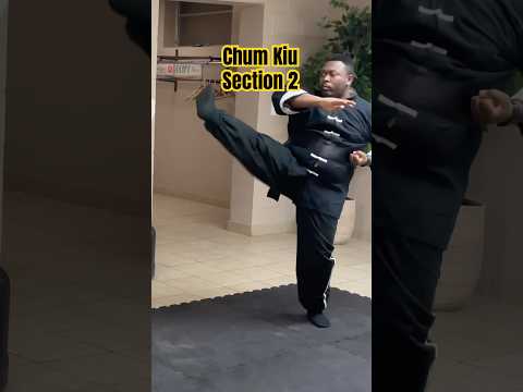 Chum Kiu Section 2 #wingchun #martialarts #kungfu