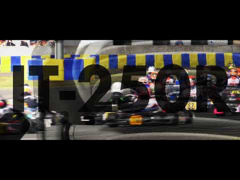 IAME - IT-250R Engine