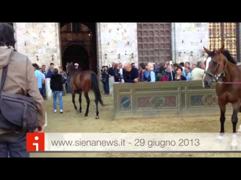 SienaNews.it - La presentazione die cavalli all'Entrone