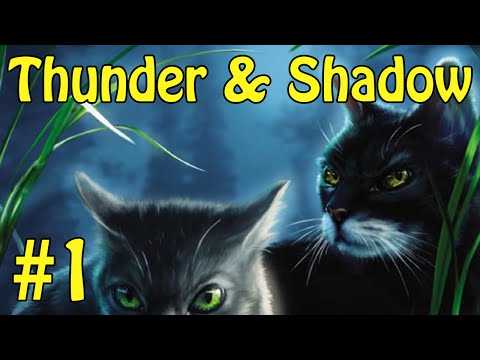 Thunder and Shadow: Twigkit Reminds Us Why We Love Warriors - Analyzing Warrior Cats