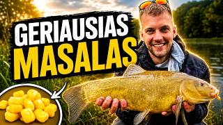 The Biggest Tench of My Life?!