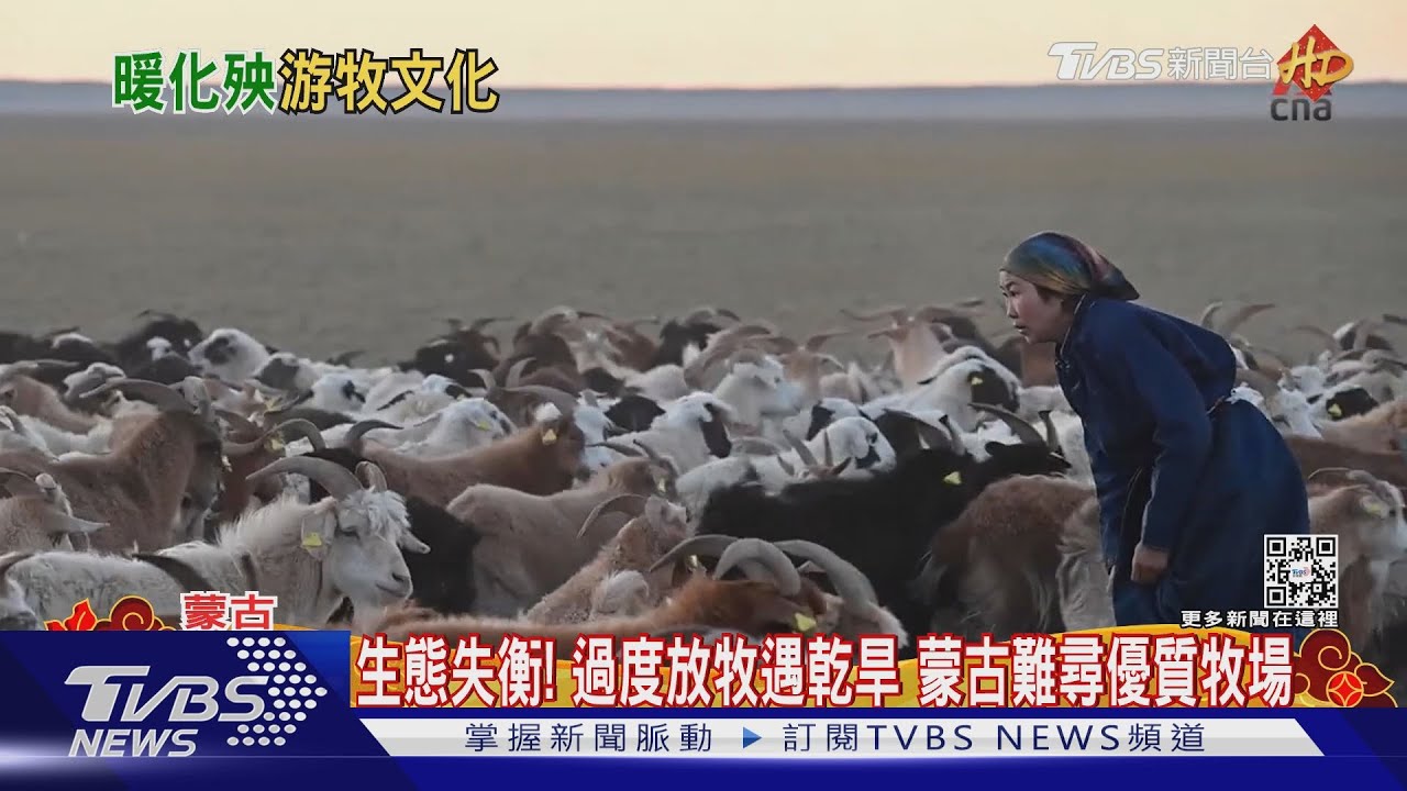 「風吹草低見牛羊」不再 蒙古放牧者氣候悲歌