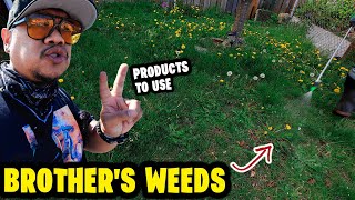 2 products I use to kill and control my Brother's WEEDS!