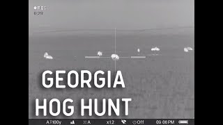 Georgia Hog Hunt with Thermal Night Vision