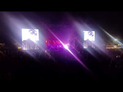 Tones On Tail - Lions: Live at Cruel World 2024