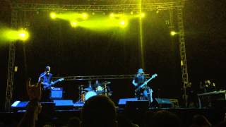 Dinero - Purasangres