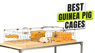 3 BEST Guinea Pig Cage - Grab the Right Cage Before It’s Too Late!