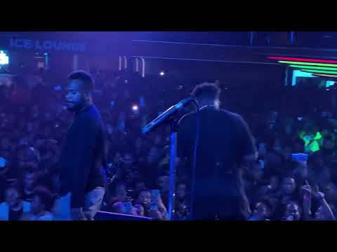 Vavina VM  Jayrex Suisui X Tonton Malele *Nene Morus *Jahvii