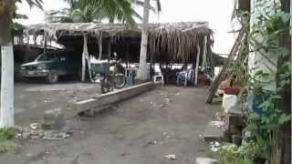 preview picture of video 'Tecoman Colima El Tecuanillo Desde Malecon hasta Estero 6 Noviembre 2012'