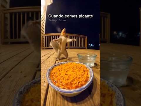 CUANDO COMES PICANTE